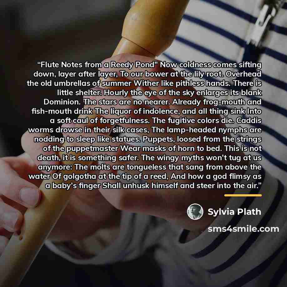 “Flute Notes from a Reedy Pond" Now coldness comes sifting down, layer after layer, To our bower at the lily root. Overhead the old umbrellas of summer Wither like pithless hands. There is little shelter. Hourly the eye of the sky enlarges its blank Dominion. The stars are no nearer. Already…” quote by Sylvia Plath