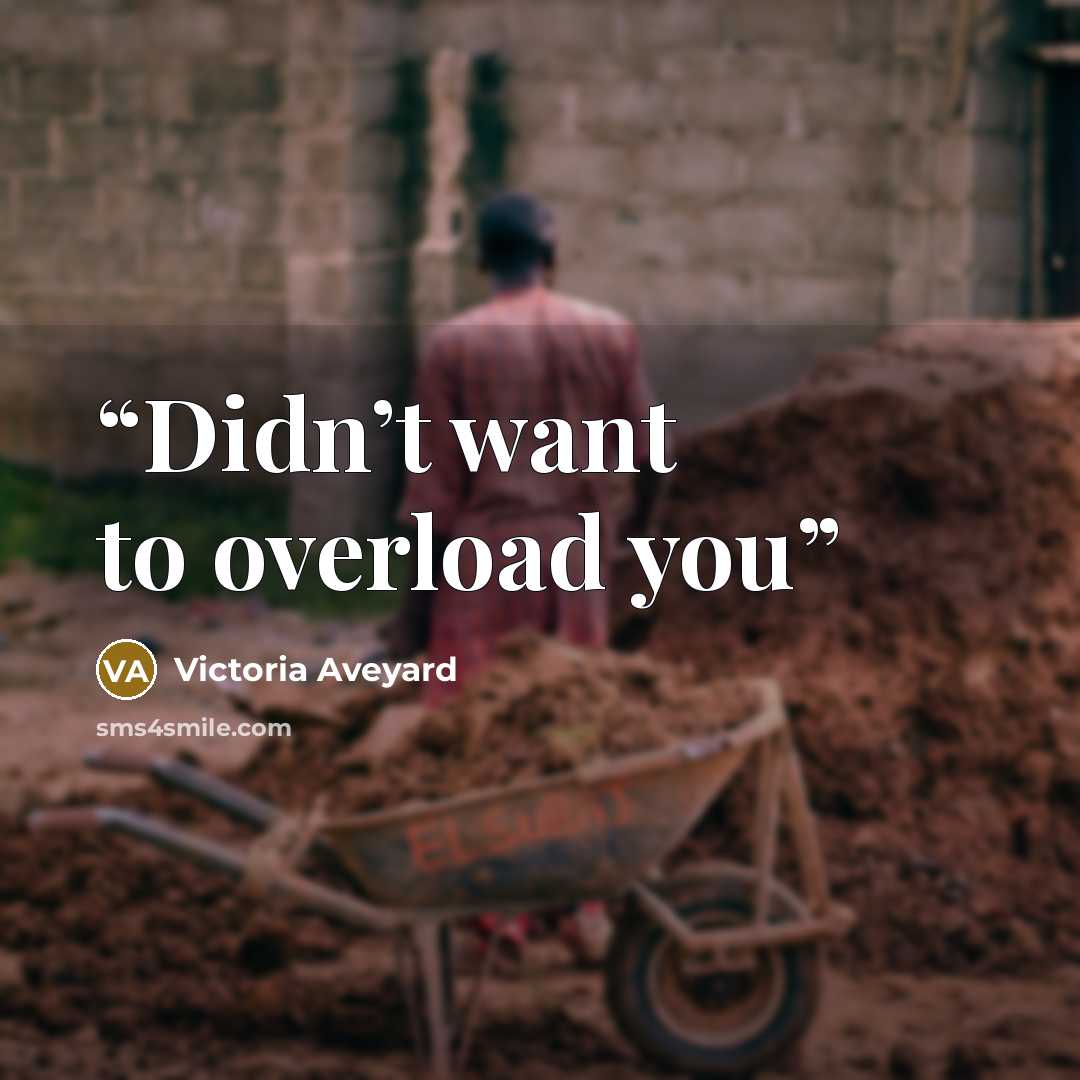 “Didn’t want to overload you” quote by Victoria Aveyard