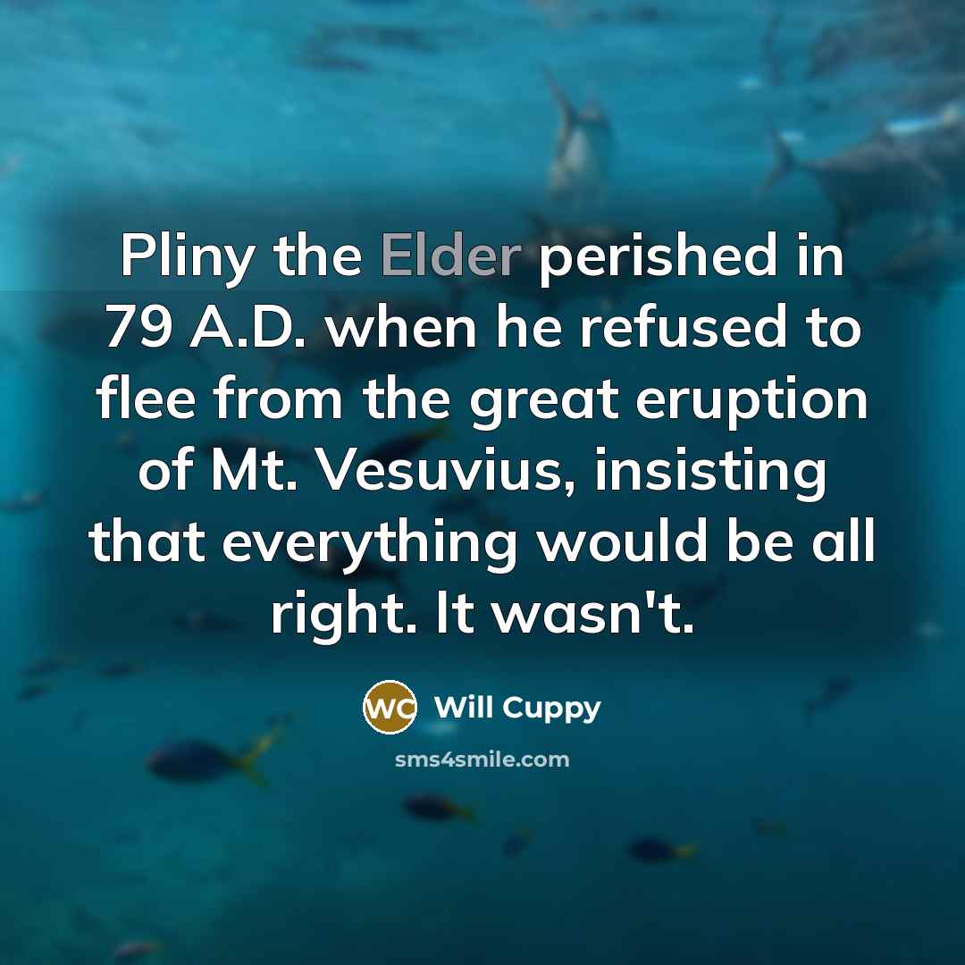 “Pliny the Elder perished in 79 A.D. when he refused to flee from the great eruption of Mt. Vesuvius, insisting that everything would be all right. It wasn't.” quote by Will Cuppy