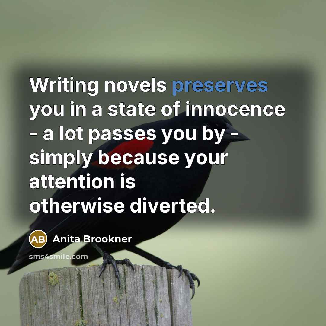 “Writing novels preserves you in a state of innocence - a lot passes you by - simply because your attention is otherwise diverted.” quote by Anita Brookner