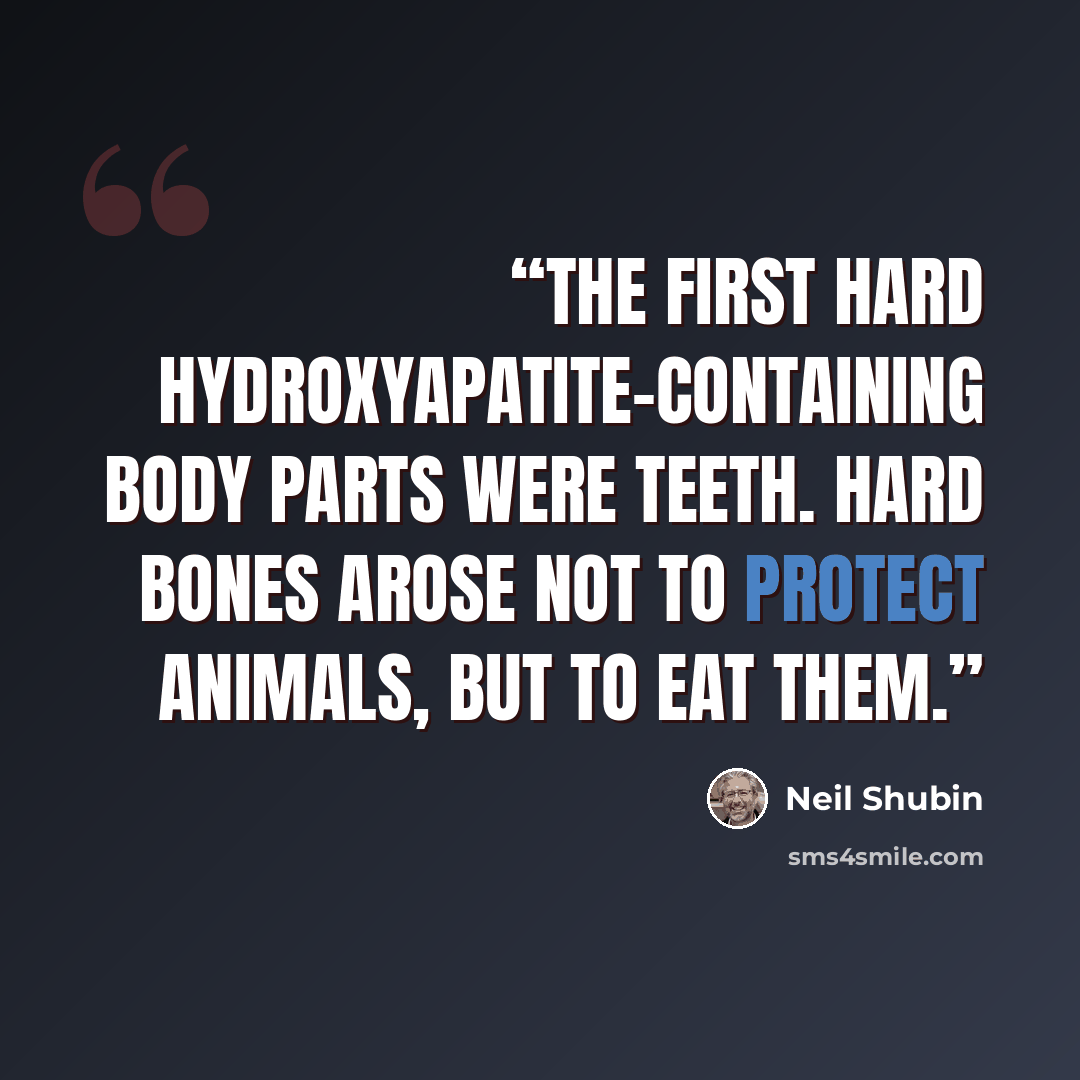 “The first hard hydroxyapatite-containing body parts were teeth. Hard bones arose not to protect animals, but to eat them.” quote by Neil Shubin