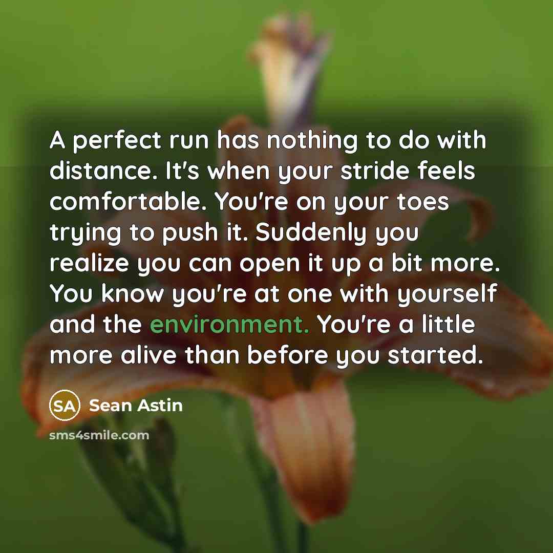 “A perfect run has nothing to do with distance. It's when your stride feels comfortable. You're on your toes trying to push it. Suddenly you realize you can open it up a bit more. You know you're at one with yourself and the environment. You're a little more alive than before you started.” quote by Sean Astin