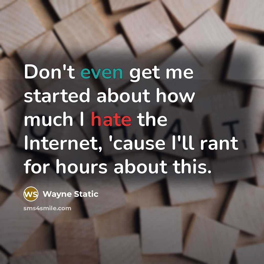 “Don't even get me started about how much I hate the Internet, 'cause I'll rant for hours about this.” quote by Wayne Static