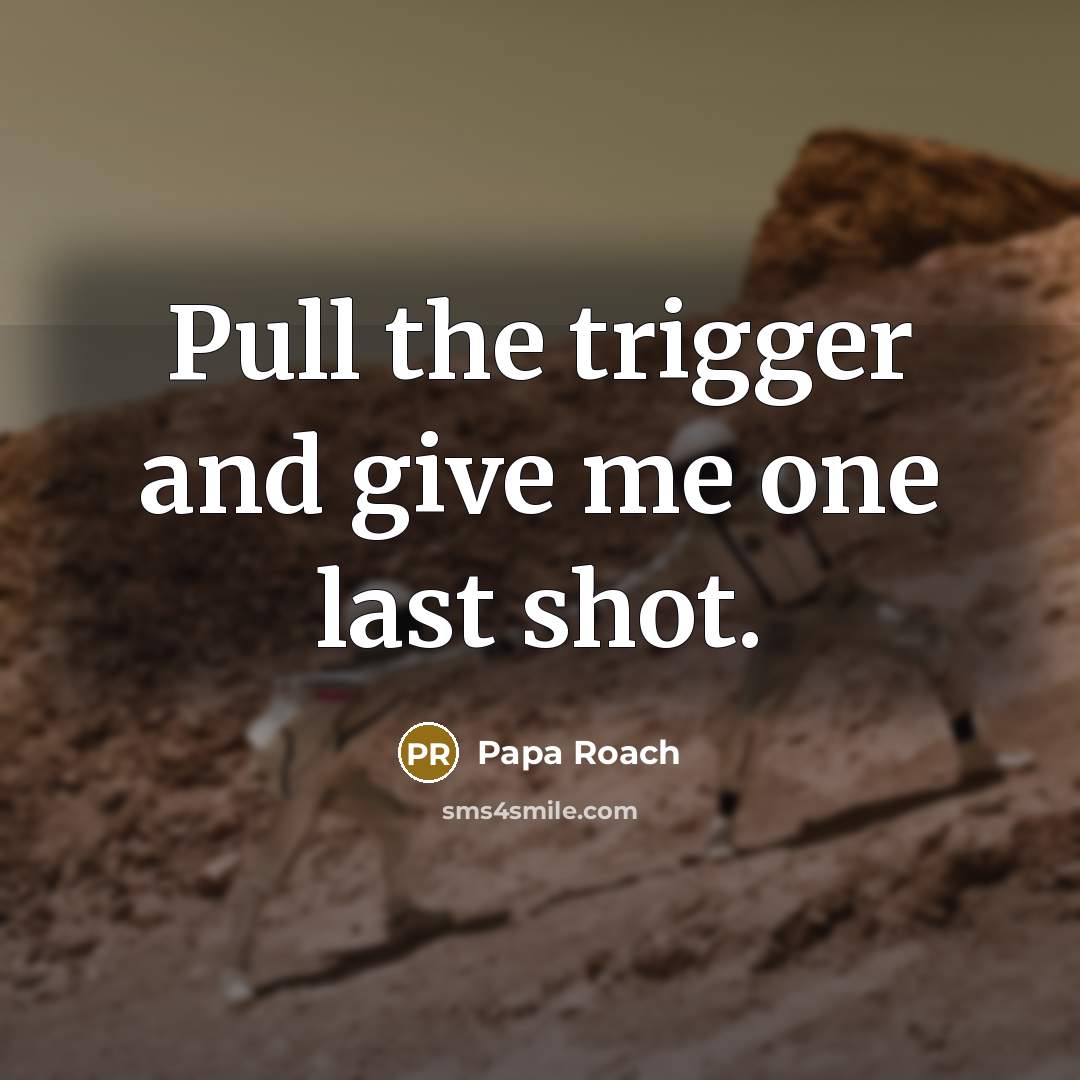 “Pull the trigger and give me one last shot.” quote by Papa Roach