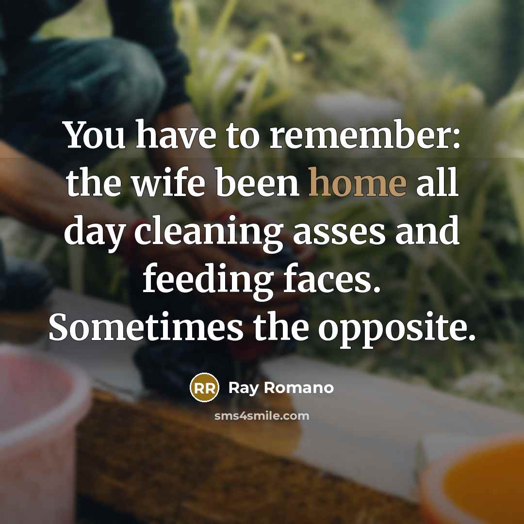 “You have to remember: the wife been home all day cleaning asses and feeding faces. Sometimes the opposite.” quote by Ray Romano