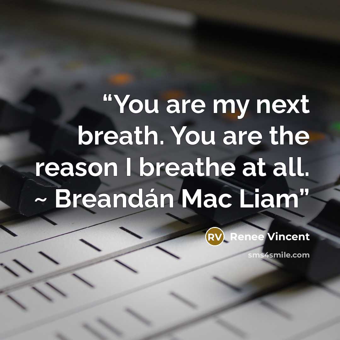 “You are my next breath. You are the reason I breathe at all. ~ Breandán Mac Liam” quote by Renee Vincent