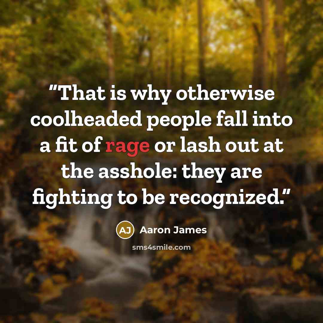 “That is why otherwise coolheaded people fall into a fit of rage or lash out at the asshole: they are fighting to be recognized.” quote by Aaron James