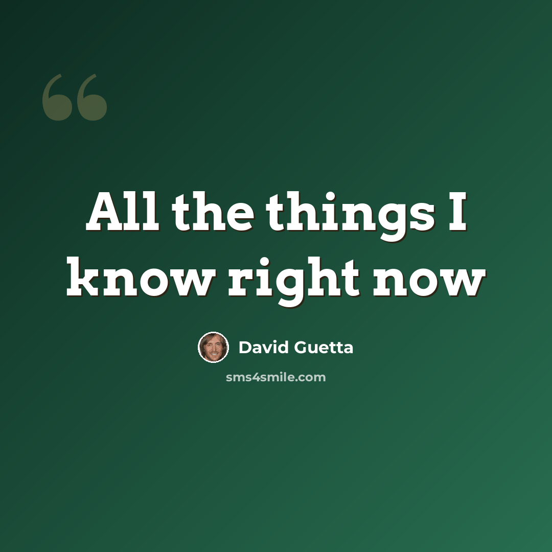 “All the things I know right now” quote by David Guetta