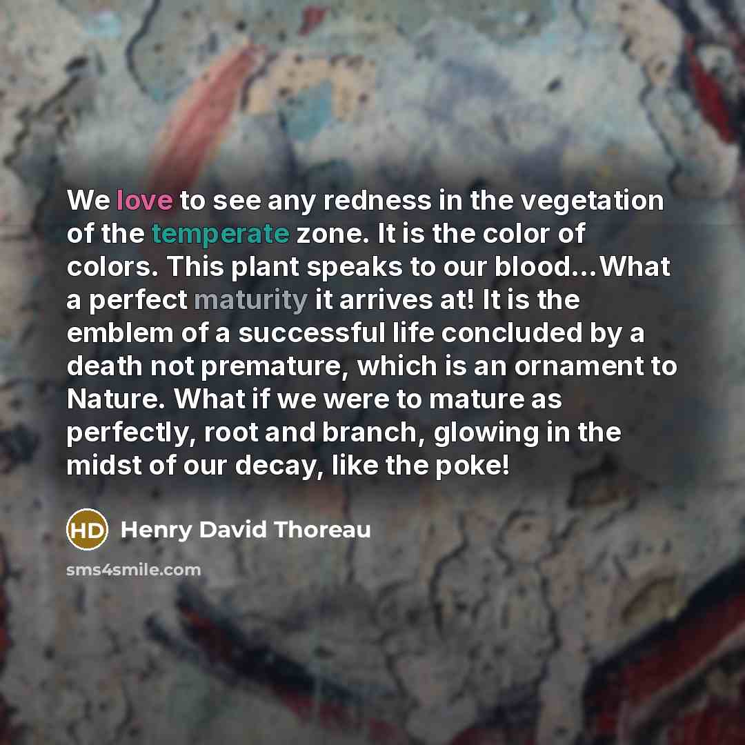 “We love to see any redness in the vegetation of the temperate zone. It is the color of colors. This plant speaks to our blood…What a perfect maturity it arrives at! It is the emblem of a successful life concluded by a death not premature, which is an ornament to Nature. What if we were to mature…” quote by Henry David Thoreau