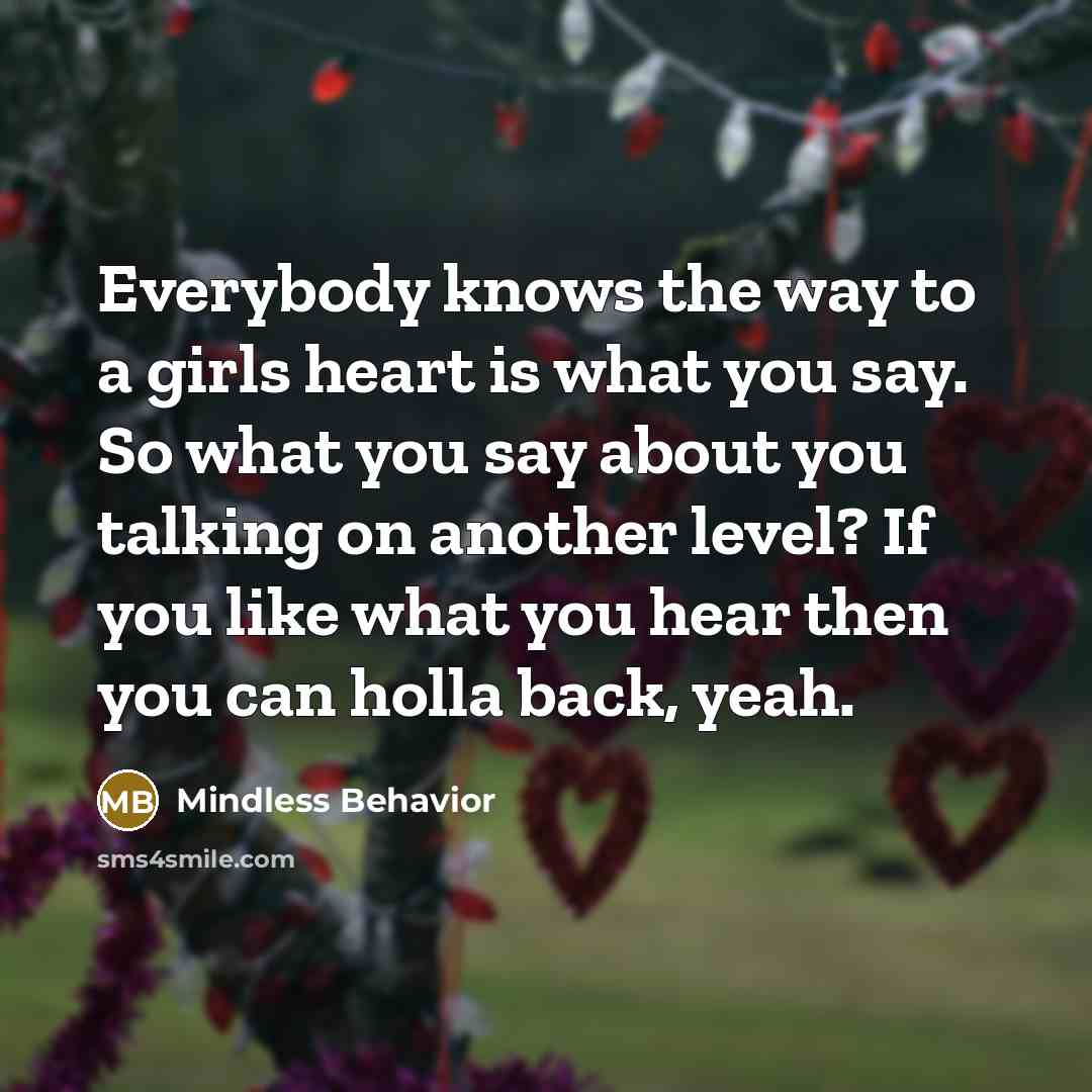 “Everybody knows the way to a girls heart is what you say. So what you say about you talking on another level? If you like what you hear then you can holla back, yeah.” quote by Mindless Behavior