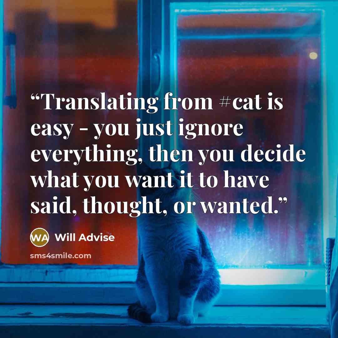 “Translating from #cat is easy - you just ignore everything, then you decide what you want it to have said, thought, or wanted.” quote by Will Advise