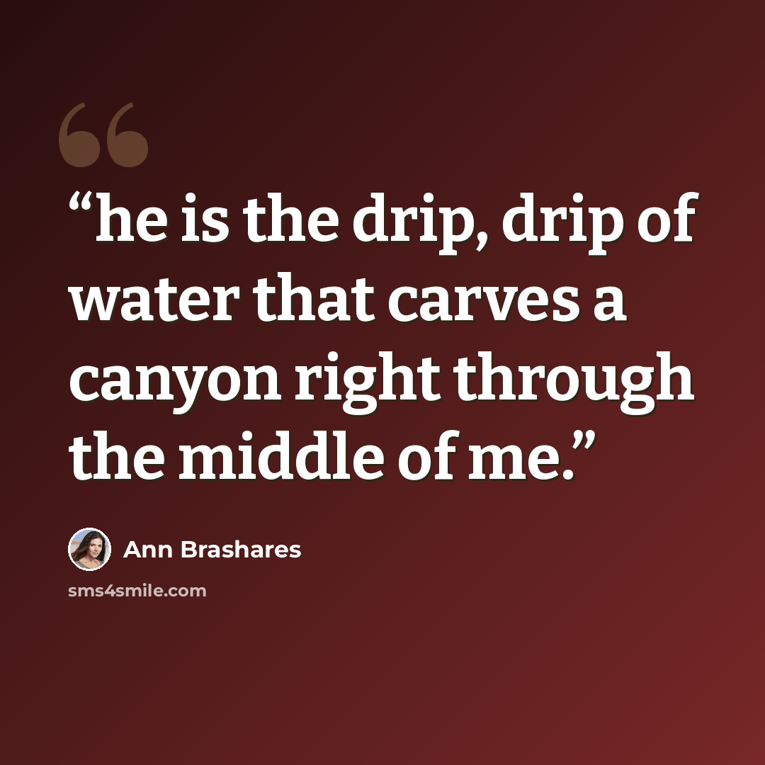 “he is the drip, drip of water that carves a canyon right through the middle of me.” quote by Ann Brashares