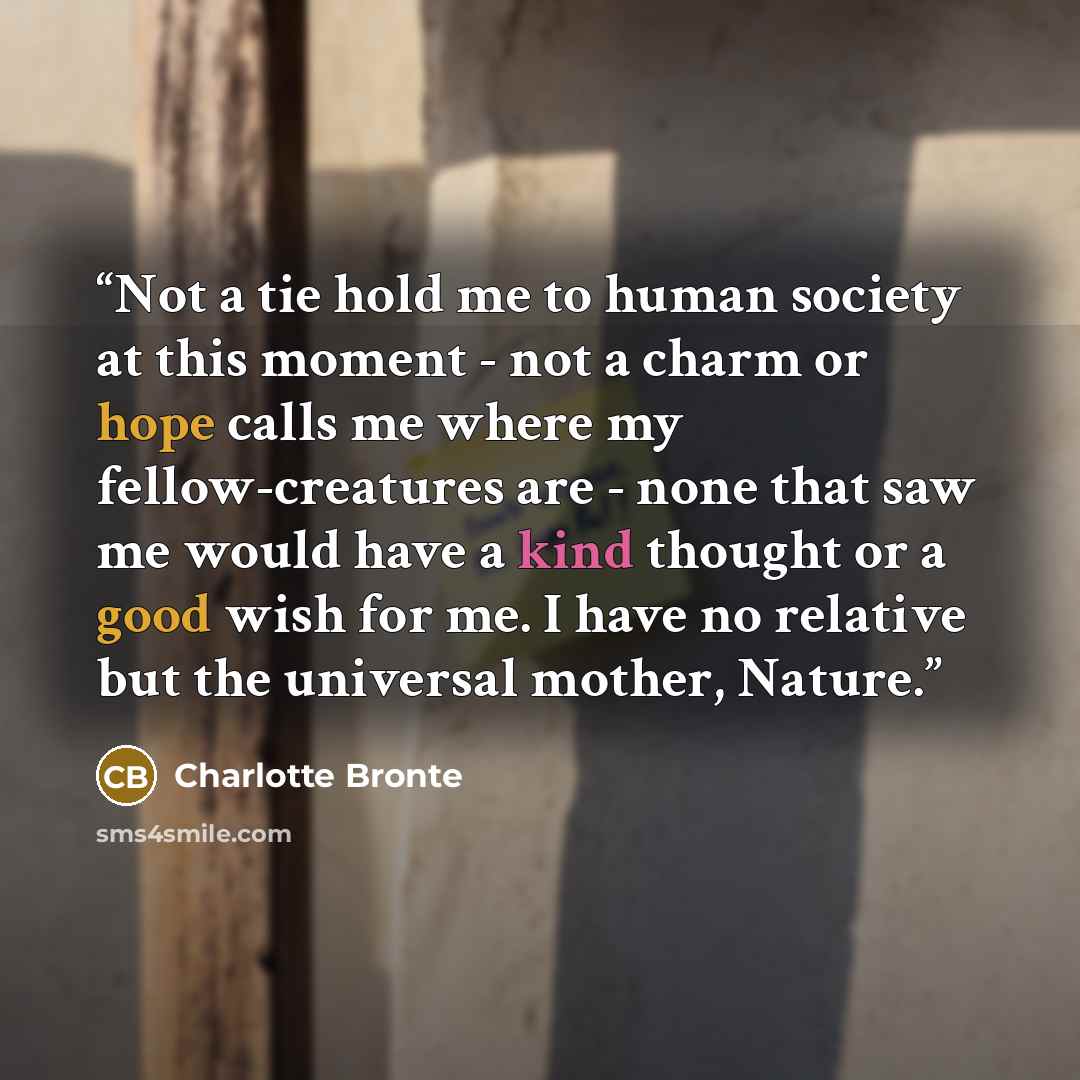 “Not a tie hold me to human society at this moment - not a charm or hope calls me where my fellow-creatures are - none that saw me would have a kind thought or a good wish for me. I have no relative but the universal mother, Nature.” quote by Charlotte bronte