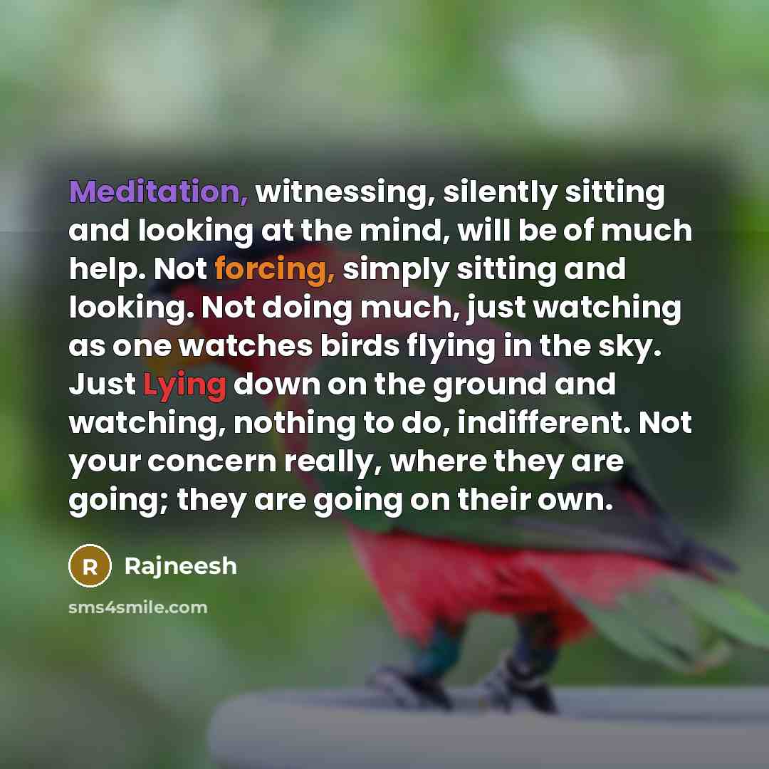 “Meditation, witnessing, silently sitting and looking at the mind, will be of much help. Not forcing, simply sitting and looking. Not doing much, just watching as one watches birds flying in the sky. Just Lying down on the ground and watching, nothing to do, indifferent. Not your concern really…” quote by Rajneesh