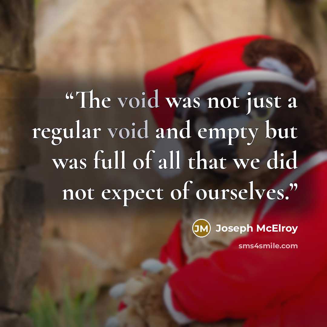 “The void was not just a regular void and empty but was full of all that we did not expect of ourselves.” quote by Joseph McElroy
