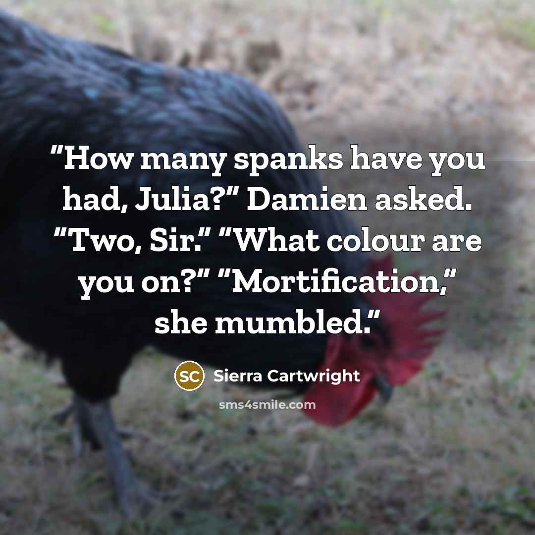 “How many spanks have you had, Julia?” Damien asked. “Two, Sir.” “What colour are you on?” “Mortification,” she mumbled.” quote by Sierra Cartwright