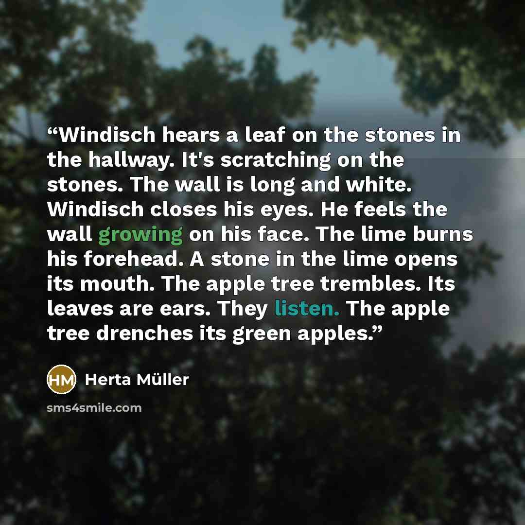 “Windisch hears a leaf on the stones in the hallway. It's scratching on the stones. The wall is long and white. Windisch closes his eyes. He feels the wall growing on his face. The lime burns his forehead. A stone in the lime opens its mouth. The apple tree trembles. Its leaves are ears. They…” quote by Herta Müller