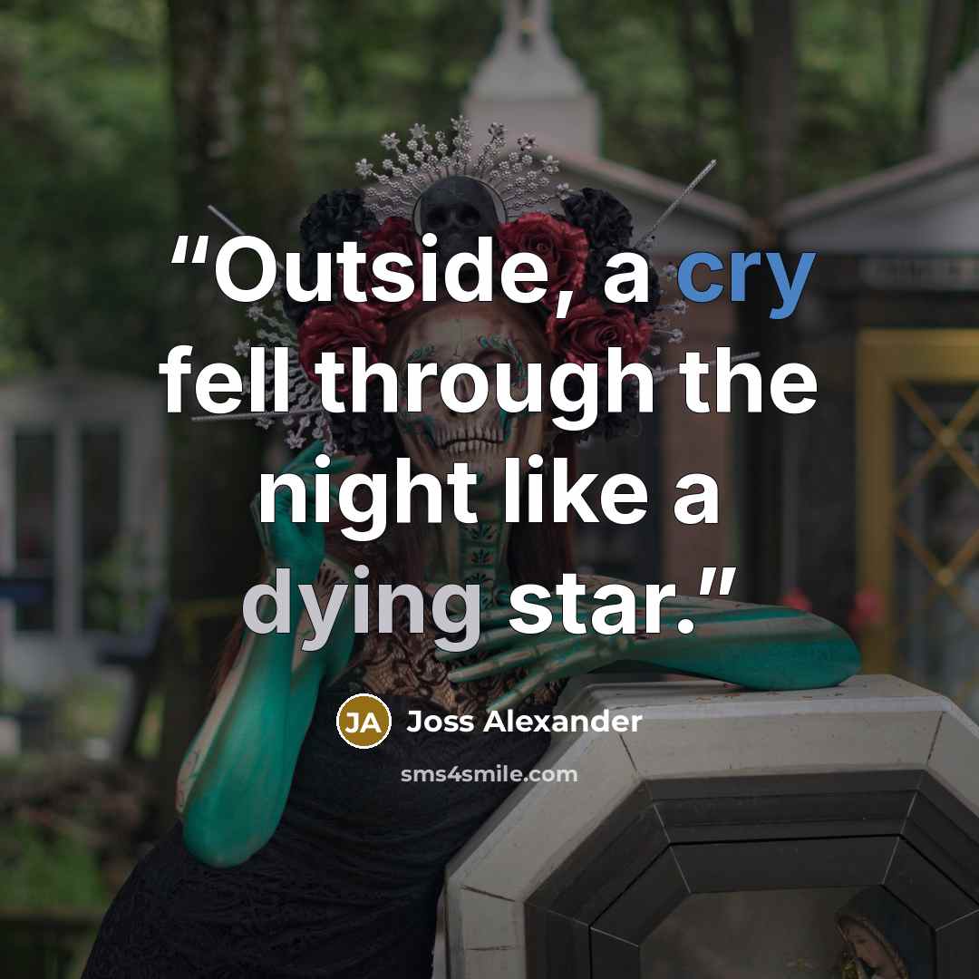 “Outside, a cry fell through the night like a dying star.” quote by Joss Alexander