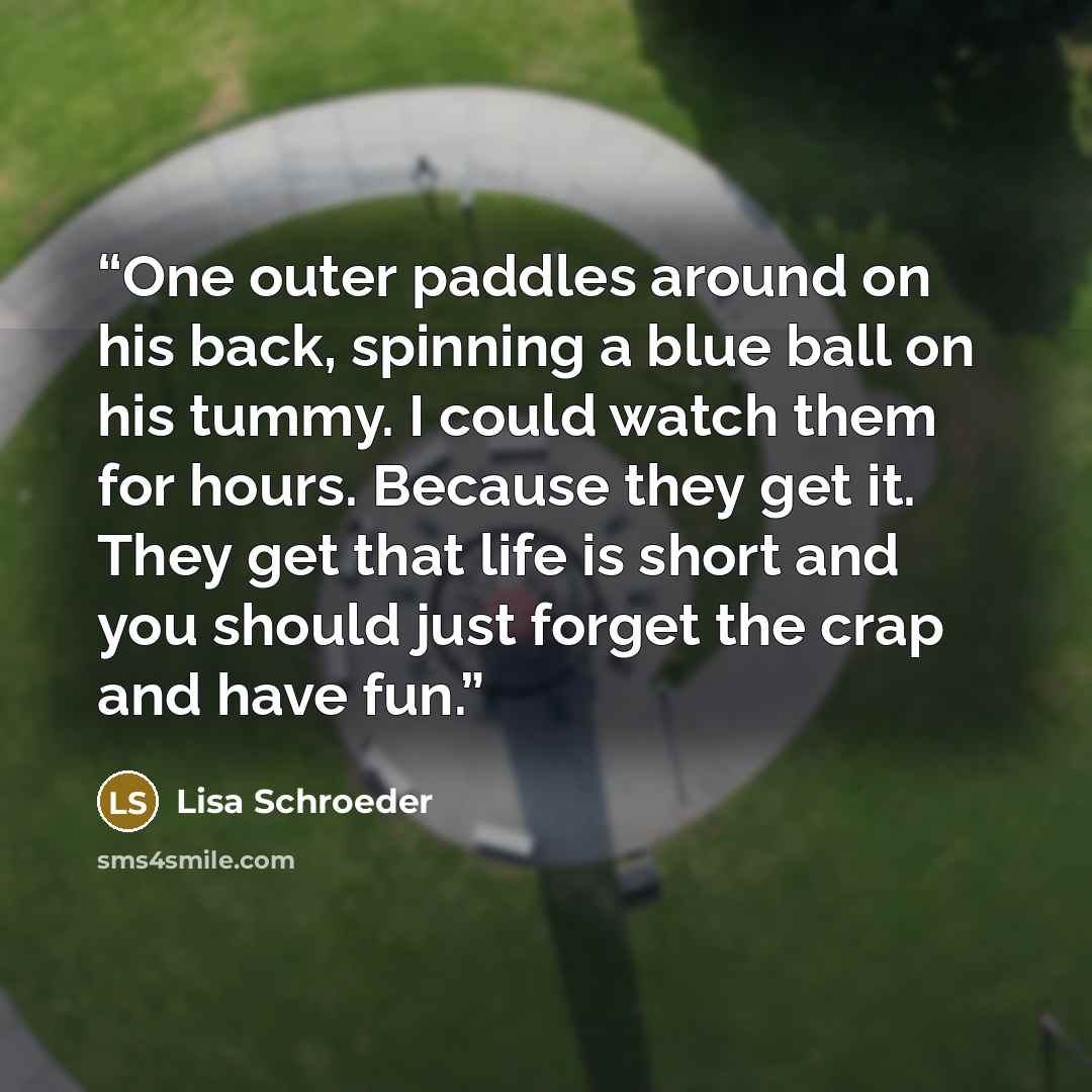 “One outer paddles around on his back, spinning a blue ball on his tummy. I could watch them for hours. Because they get it. They get that life is short and you should just forget the crap and have fun.” quote by Lisa Schroeder