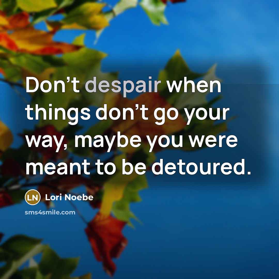 “Don't despair when things don't go your way, maybe you were meant to be detoured.” quote by Lori Noebe