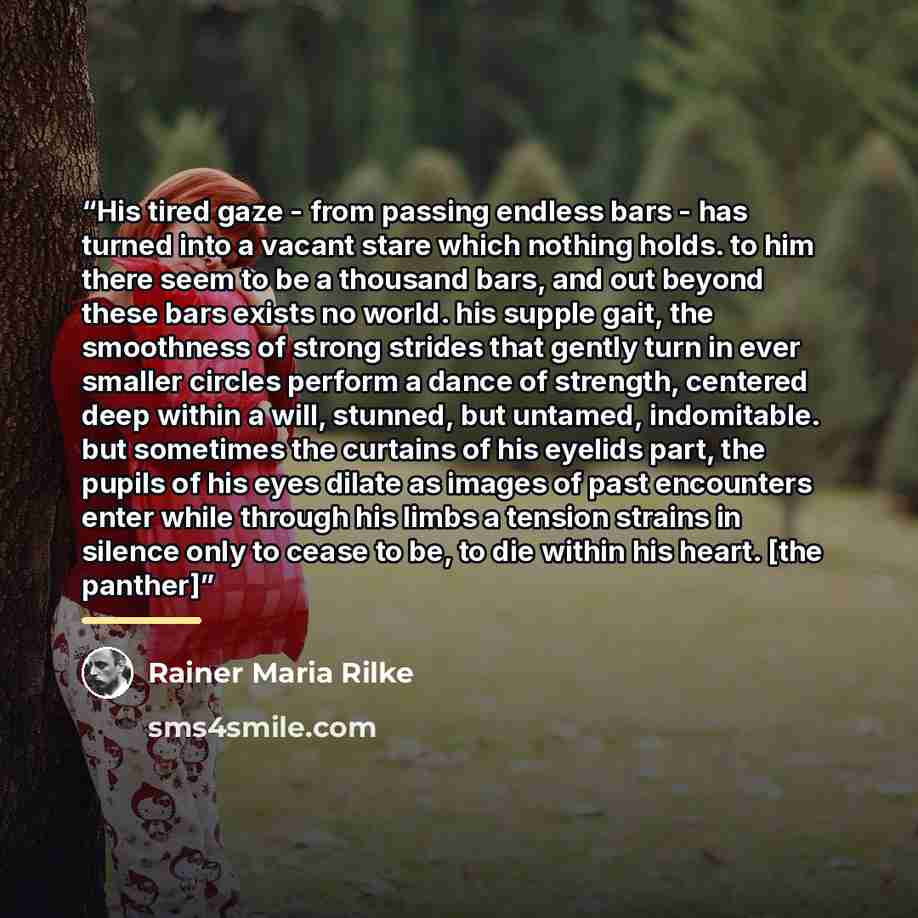 “His tired gaze - from passing endless bars - has turned into a vacant stare which nothing holds. to him there seem to be a thousand bars, and out beyond these bars exists no world. his supple gait, the smoothness of strong strides that gently turn in ever smaller circles perform a dance of…” quote by Rainer Maria Rilke