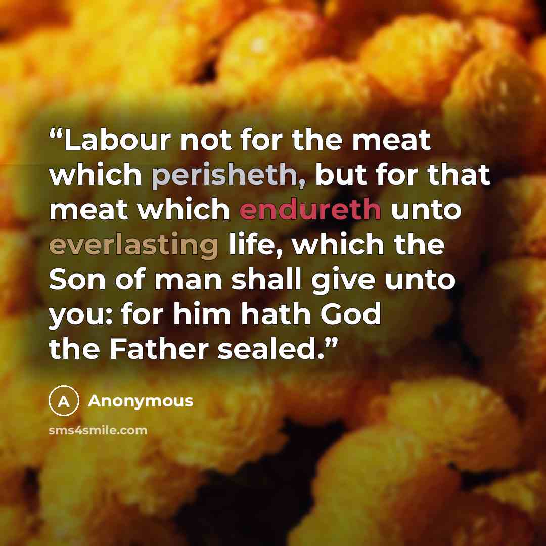 “Labour not for the meat which perisheth, but for that meat which endureth unto everlasting life, which the Son of man shall give unto you: for him hath God the Father sealed.” quote by Anonymous