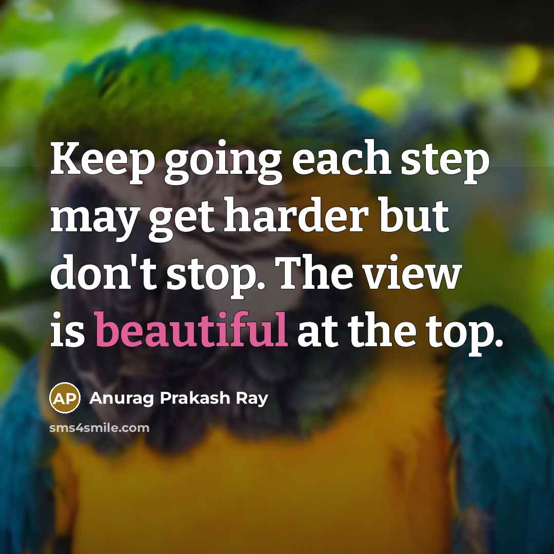 “Keep going each step may get harder but don't stop. The view is beautiful at the top.” quote by Anurag Prakash Ray