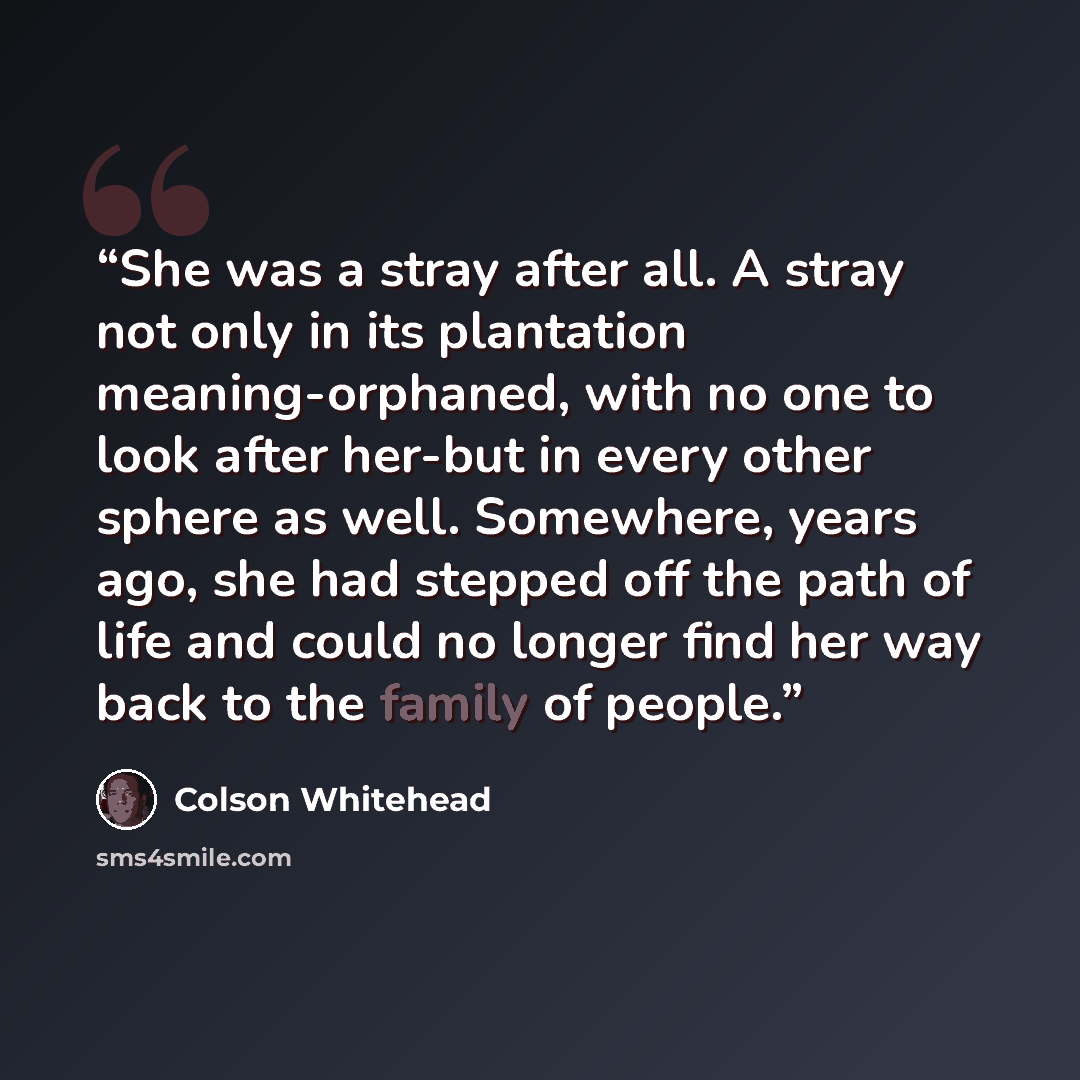 “She was a stray after all. A stray not only in its plantation meaning-orphaned, with no one to look after her-but in every other sphere as well. Somewhere, years ago, she had stepped off the path of life and could no longer find her way back to the family of people.” quote by Colson Whitehead