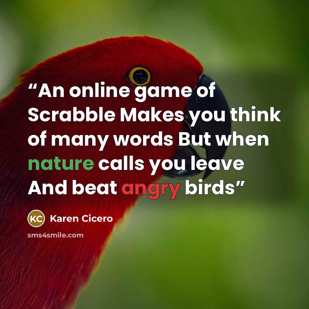 “An online game of Scrabble Makes you think of many words But when nature calls you leave And beat angry birds” quote by Karen Cicero