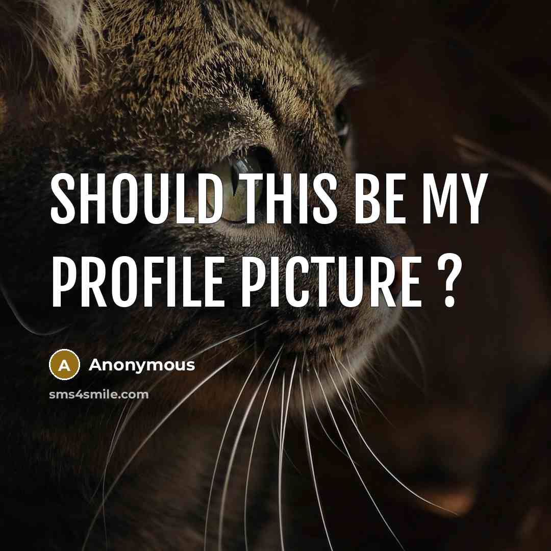 “Should this be my profile picture ?” quote by Anonymous