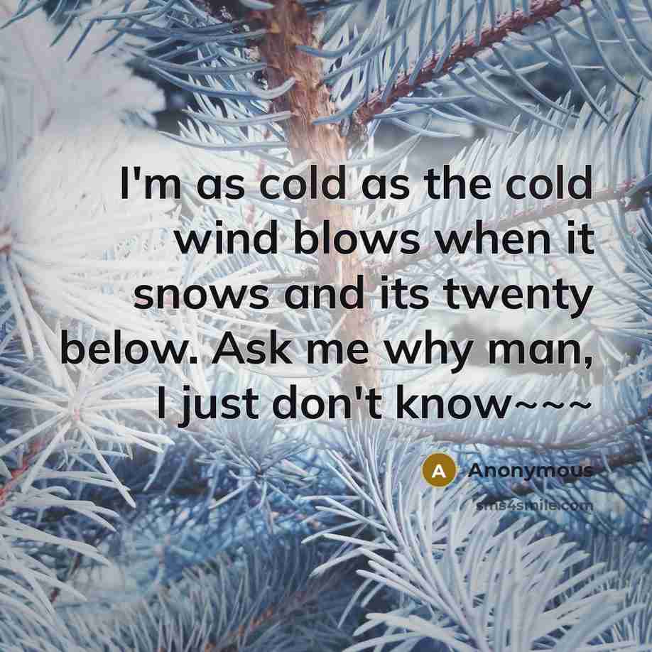 “I'm as cold as the cold wind blows when it snows and its twenty below. Ask me why man, I just don't know~~~” quote by Anonymous