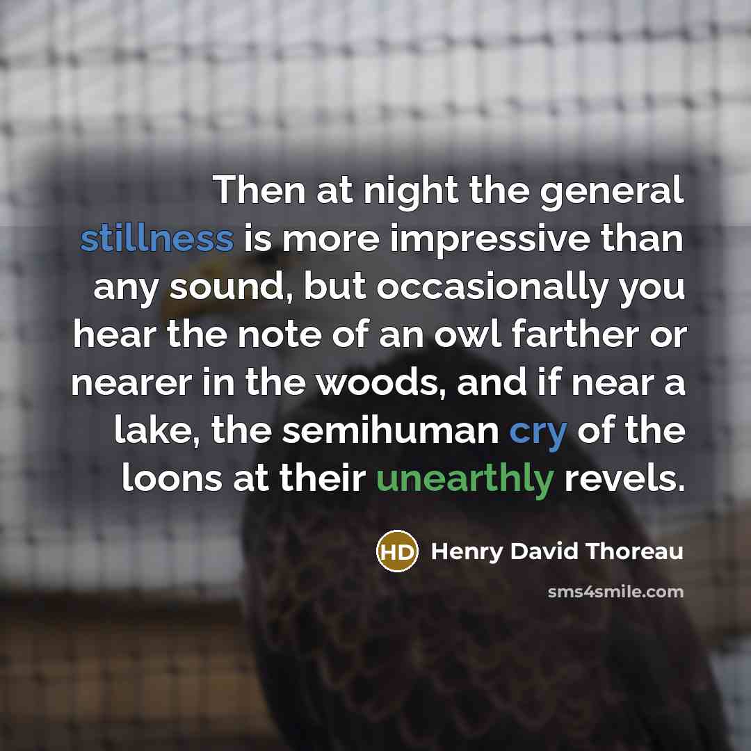 “Then at night the general stillness is more impressive than any sound, but occasionally you hear the note of an owl farther or nearer in the woods, and if near a lake, the semihuman cry of the loons at their unearthly revels.” quote by Henry David Thoreau