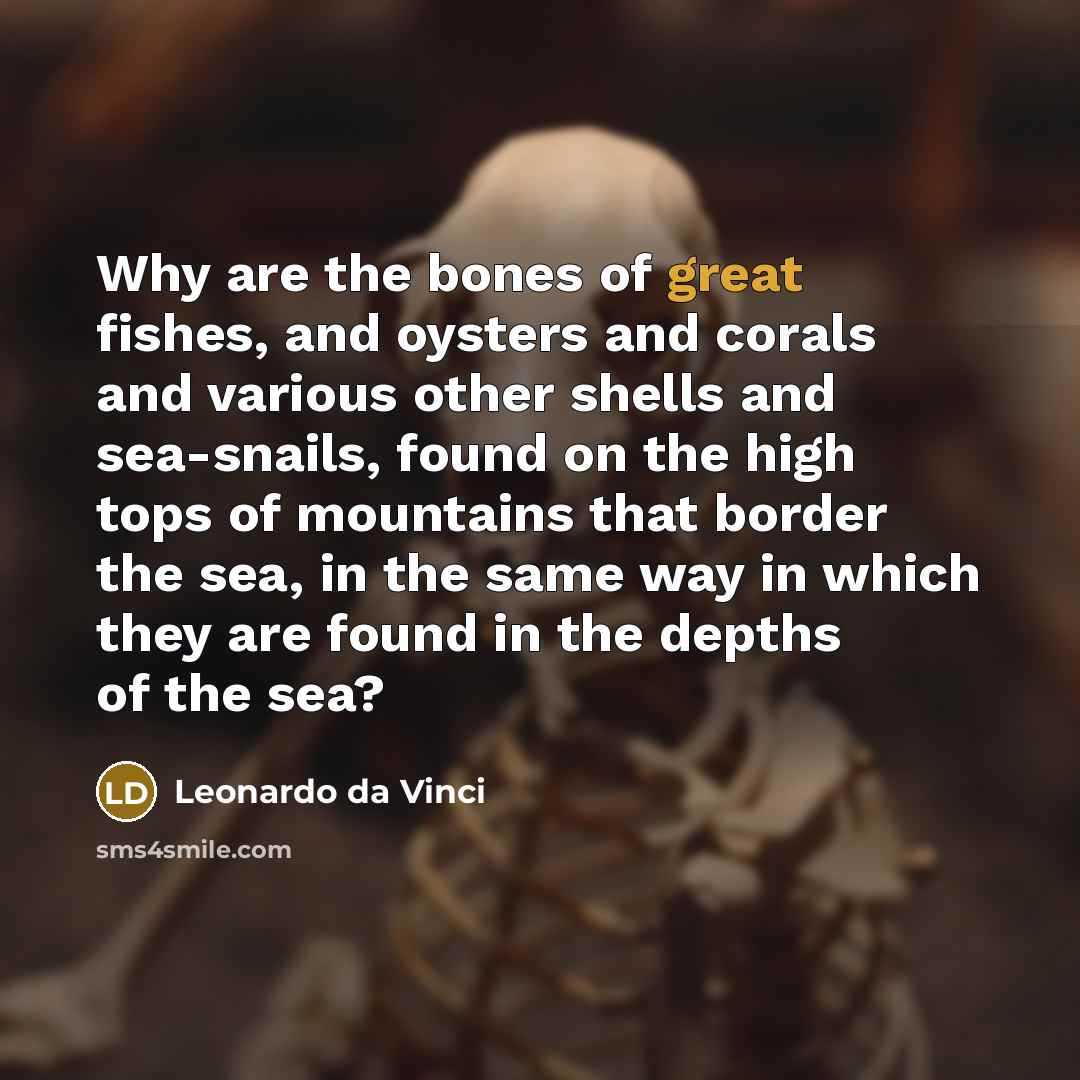 “Why are the bones of great fishes, and oysters and corals and various other shells and sea-snails, found on the high tops of mountains that border the sea, in the same way in which they are found in the depths of the sea?” quote by Leonardo da Vinci