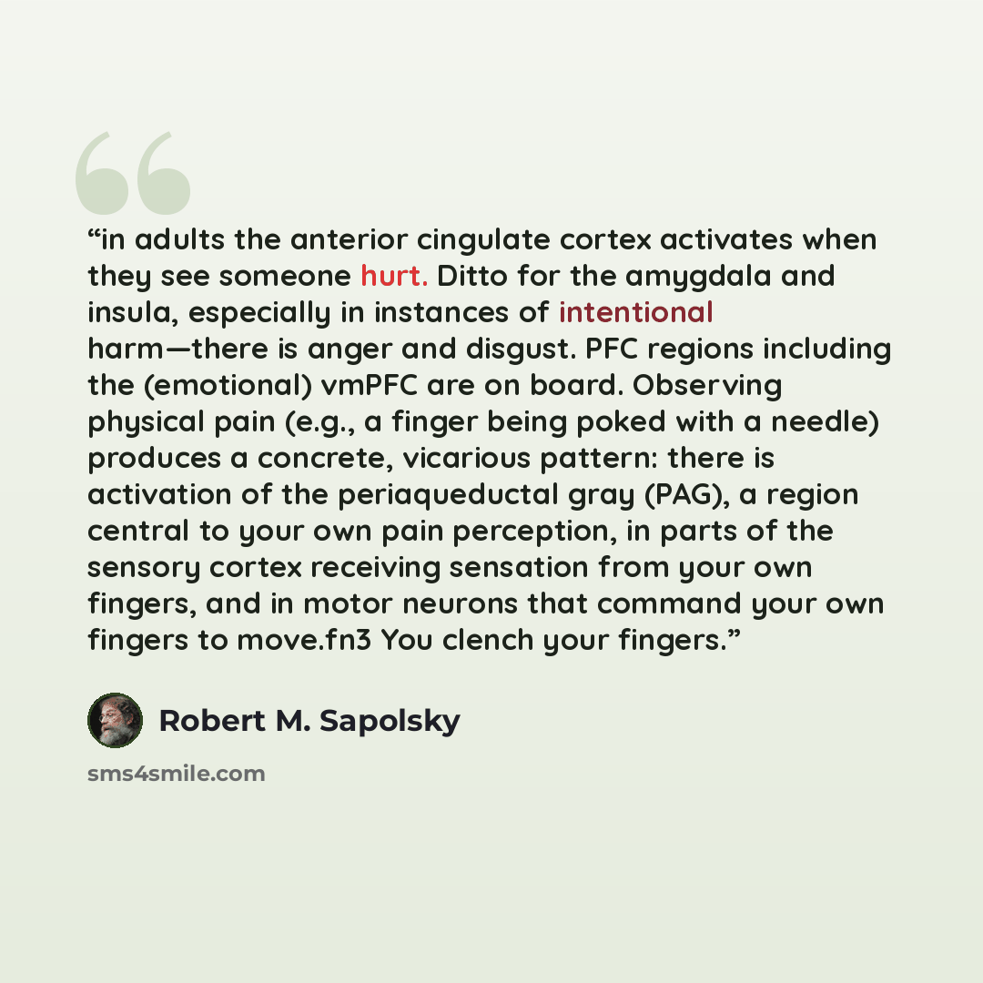 “in adults the anterior cingulate cortex activates when they see someone hurt. Ditto for the amygdala and insula, especially in instances of intentional harm—there is anger and disgust. PFC regions including the (emotional) vmPFC are on board. Observing physical pain (e.g., a finger being poked…” quote by Robert M. Sapolsky