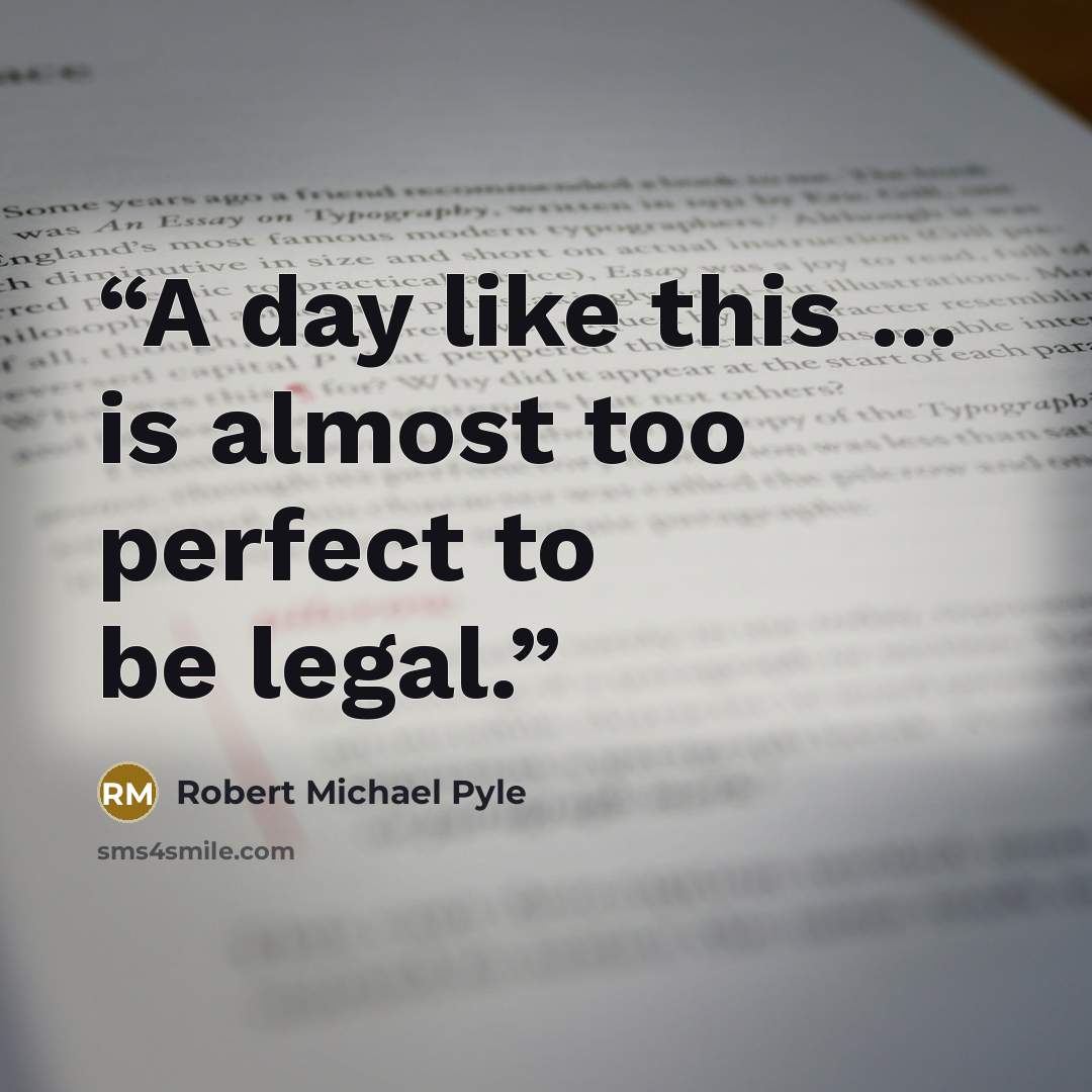 “A day like this ... is almost too perfect to be legal.” quote by Robert Michael Pyle