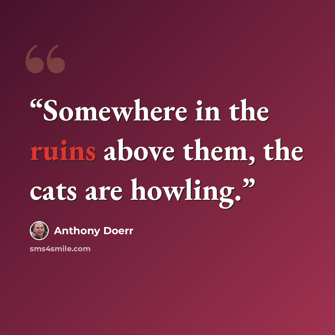“Somewhere in the ruins above them, the cats are howling.” quote by Anthony Doerr