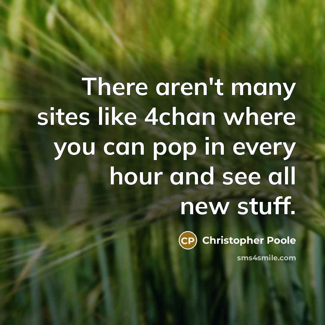 “There aren't many sites like 4chan where you can pop in every hour and see all new stuff.” quote by Christopher Poole