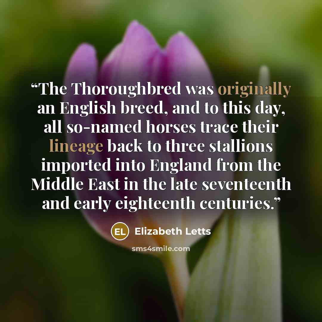 “The Thoroughbred was originally an English breed, and to this day, all so-named horses trace their lineage back to three stallions imported into England from the Middle East in the late seventeenth and early eighteenth centuries.” quote by Elizabeth Letts