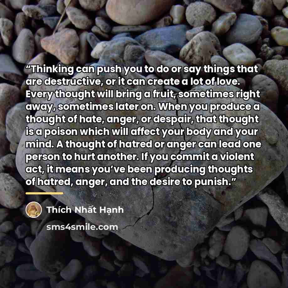 “Thinking can push you to do or say things that are destructive, or it can create a lot of love. Every thought will bring a fruit, sometimes right away, sometimes later on. When you produce a thought of hate, anger, or despair, that thought is a poison which will affect your body and your mind. A…” quote by Thich Nhat Hanh