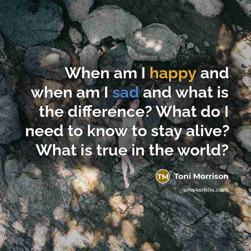 “When am I happy and when am I sad and what is the difference? What do I need to know to stay alive? What is true in the world?” quote by Toni Morrison