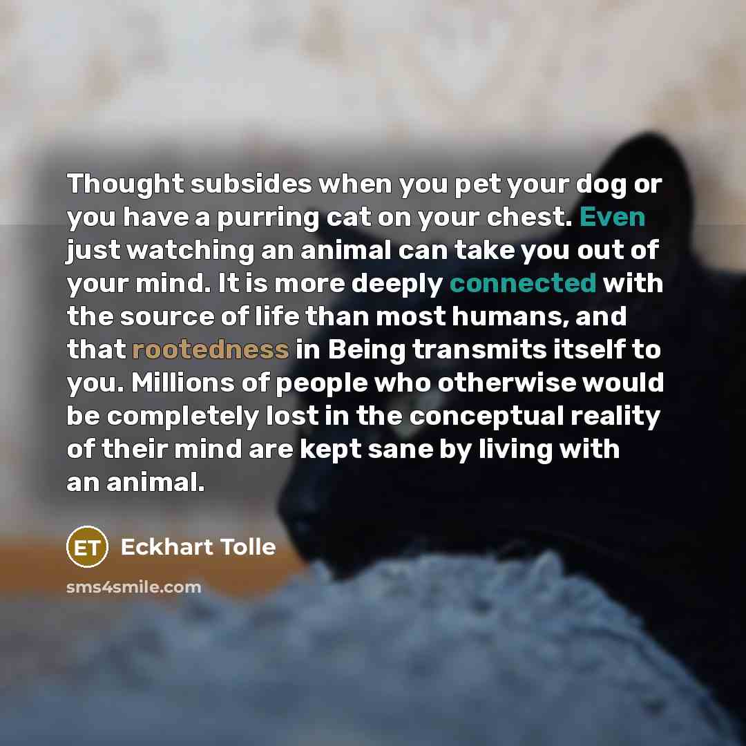 “Thought subsides when you pet your dog or you have a purring cat on your chest. Even just watching an animal can take you out of your mind. It is more deeply connected with the source of life than most humans, and that rootedness in Being transmits itself to you. Millions of people who otherwise…” quote by Eckhart Tolle