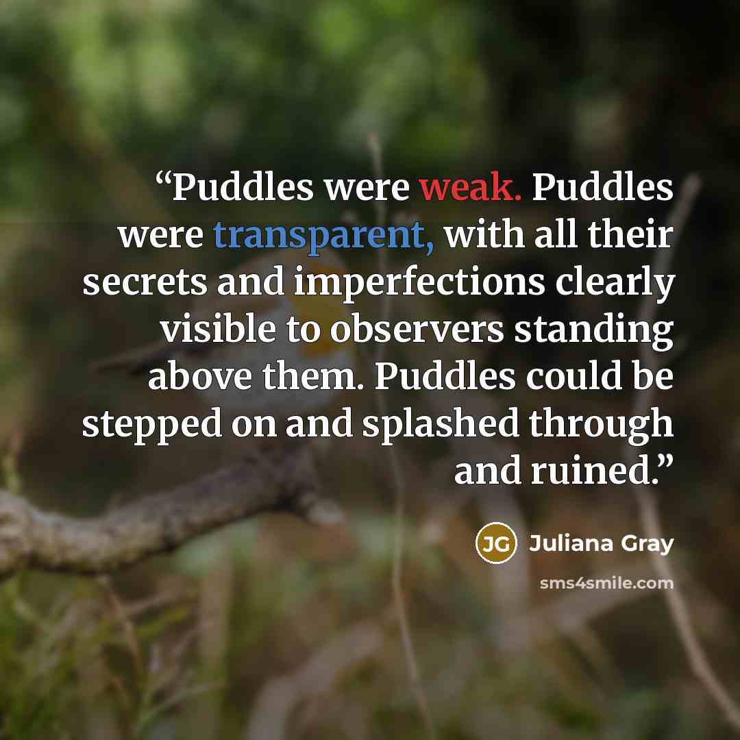 “Puddles were weak. Puddles were transparent, with all their secrets and imperfections clearly visible to observers standing above them. Puddles could be stepped on and splashed through and ruined.” quote by Juliana Gray
