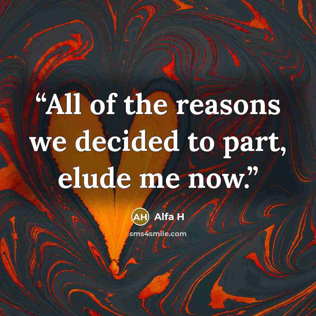 “All of the reasons we decided to part, elude me now.” quote by Alfa H
