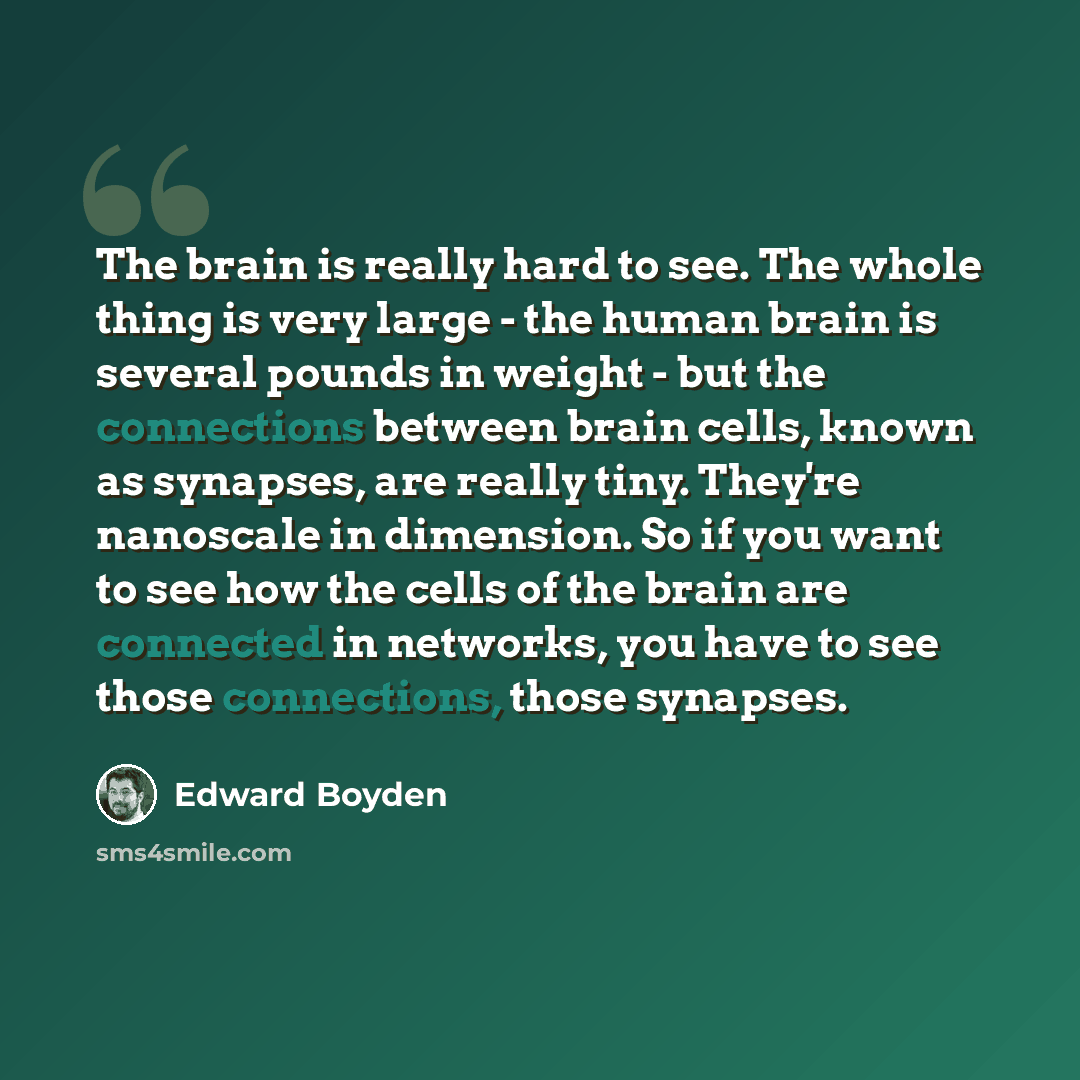 “The brain is really hard to see. The whole thing is very large - the human brain is several pounds in weight - but the connections between brain cells, known as synapses, are really tiny. They're nanoscale in dimension. So if you want to see how the cells of the brain are connected in networks…” quote by Edward Boyden