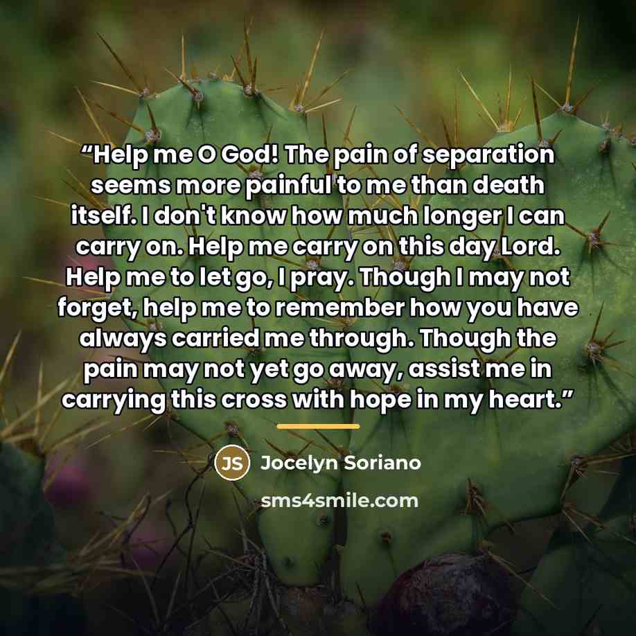 “Help me O God! The pain of separation seems more painful to me than death itself. I don't know how much longer I can carry on. Help me carry on this day Lord. Help me to let go, I pray. Though I may not forget, help me to remember how you have always carried me through. Though the pain may not yet…” quote by Jocelyn Soriano