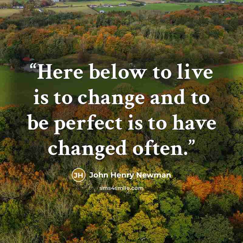 “Here below to live is to change and to be perfect is to have changed often.” quote by John Henry Newman