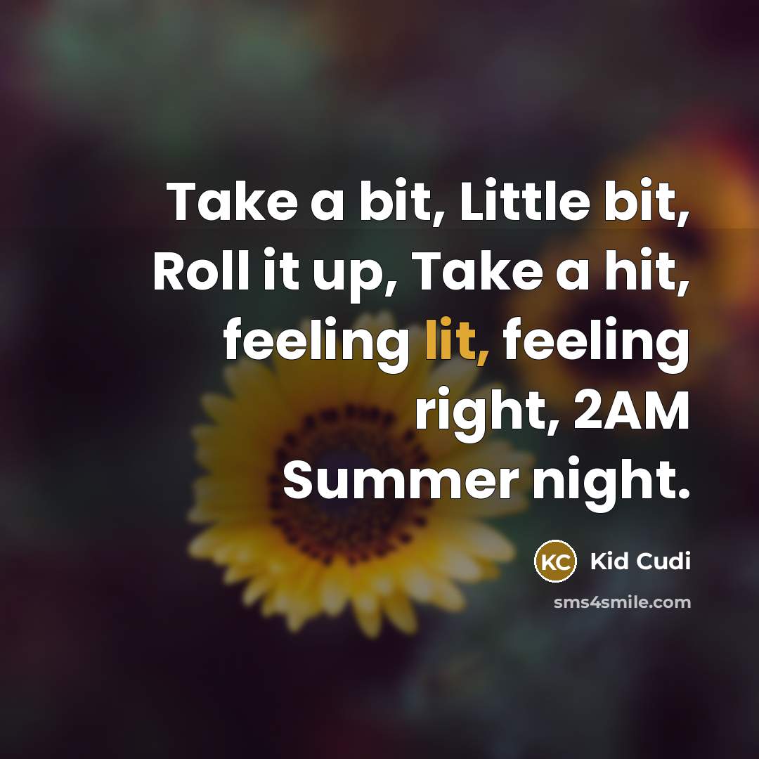“Take a bit, Little bit, Roll it up, Take a hit, feeling lit, feeling right, 2AM Summer night.” quote by Kid Cudi
