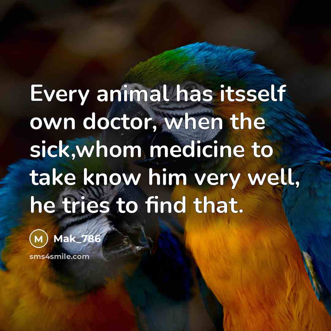 “Every animal has itsself own doctor, when the sick,whom medicine to take know him very well, he tries to find that.” quote by Mak_786