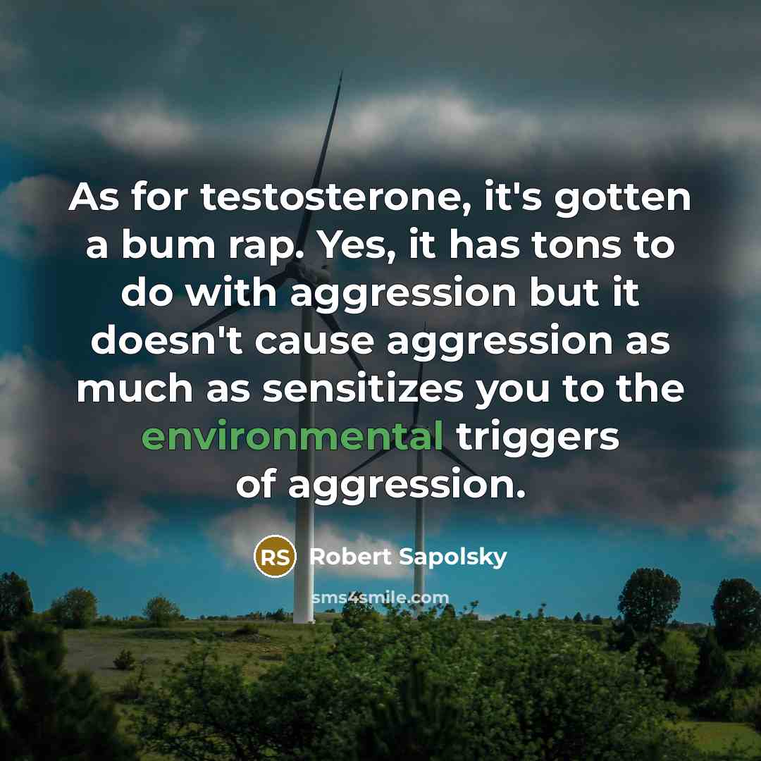 “As for testosterone, it's gotten a bum rap. Yes, it has tons to do with aggression but it doesn't cause aggression as much as sensitizes you to the environmental triggers of aggression.” quote by Robert Sapolsky