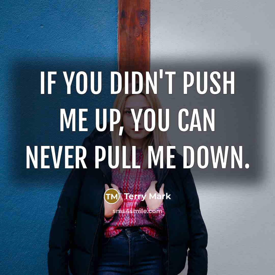 “If you didn't push me up, you can never pull me down.” quote by Terry Mark